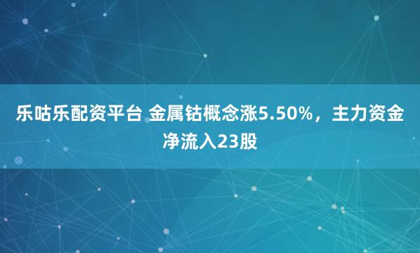 乐咕乐配资平台 金属钴概念涨5.50%，主力资金净流入23股
