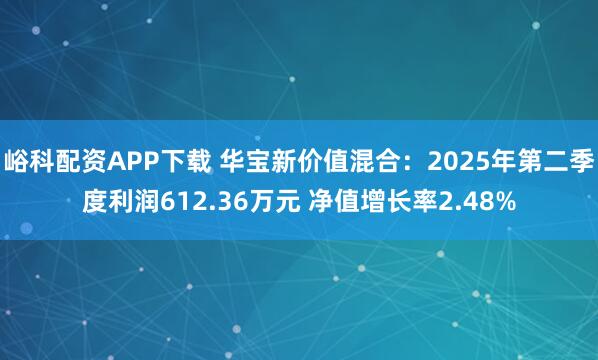 峪科配资APP下载 华宝新价值混合：2025年第二季度利润612.36万元 净值增长率2.48%