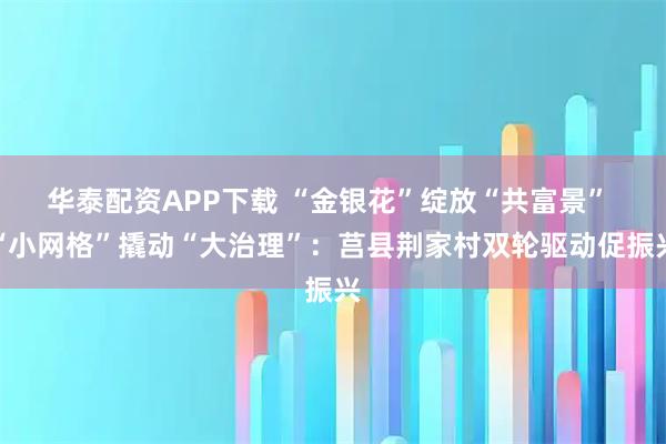 华泰配资APP下载 “金银花”绽放“共富景” “小网格”撬动“大治理”：莒县荆家村双轮驱动促振兴