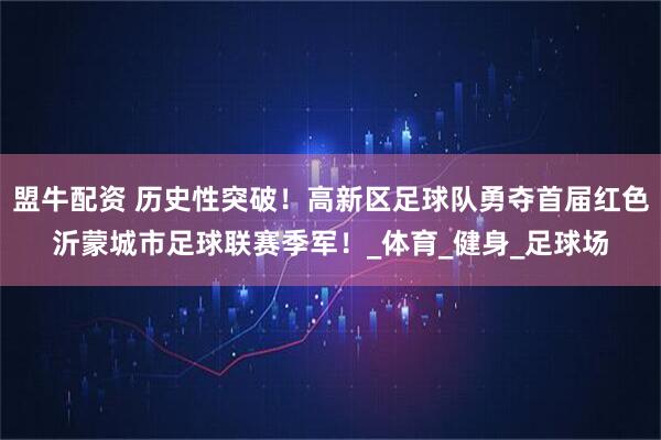 盟牛配资 历史性突破！高新区足球队勇夺首届红色沂蒙城市足球联赛季军！_体育_健身_足球场